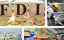 Infographics: Những con số ấn tượng về FDI 8 tháng năm 2018