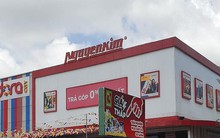 Nhiều oái oăm từ vụ lách thuế trăm tỉ của Nguyễn Kim