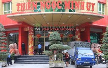 Thực hư việc Thiên Ngọc Minh Uy nộp tới 200 tỷ đồng thuế TNDN, vượt qua hàng loạt “tên tuổi” như Tân Hiệp Phát, KIDO, TPBank…