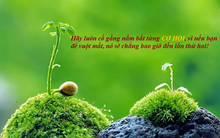 Chuyện cuối tuần: Chú dê, gà tây, con cáo và bài học "đừng cố xua đi cơ hội, bởi hành động của ta nằm trong tay ta, nhưng hậu quả của chúng thì không"