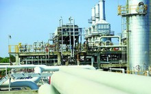 Hàng loạt doanh nghiệp lớn bị truy thu hàng tỷ đồng tiền thuế