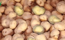 Tràn lan nông sản nhập khẩu “đội lốt” hàng Việt: Trách nhiệm của ai?