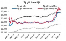 NHNN đã chủ động đẩy lãi suất, tránh áp lực lên tỷ giá