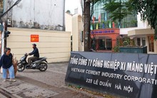 Hàng loạt công ty con của Vicem báo lỗ, mất an toàn tài chính