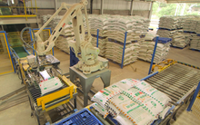 Cổ phiếu tăng mạnh, XNK Quảng Bình tiếp tục muốn thoái bớt vốn tại DAP Vinachem (DDV)