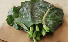 Từ giảm cân đến giải độc cơ thể, đây là 7 công dụng "thần dược" của loại rau cải phổ biến ở Tây Ban Nha và đang được trồng nhiều ở Đà Lạt những năm gần đây