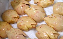 Foie gras - đỉnh cao văn hóa ẩm thực Pháp: Khi lằn ranh giữa món ăn xa hoa và nỗi thống khổ tột cùng của loài ngỗng bị xóa mờ