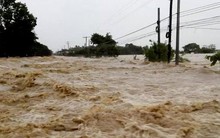 Philippines có thể phải tăng mạnh nhập gạo vì siêu bão Mangkhut