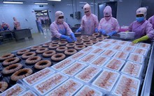 Viện McKinsey đánh giá tích cực triển vọng phát triển kinh tế Việt Nam