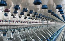 TNG: Tổng đơn hàng 8 tháng đạt 4.700 tỷ - tăng 30% so với cả năm ngoái, lợi nhuận đạt 157 tỷ đồng