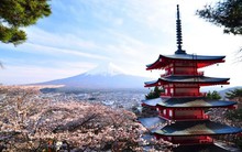 8 năm "kẹp hàng", công ty chứng khoán Nhật Bản bất ngờ đạt lãi khủng nhờ biến động bất thường của cổ phiếu SRA