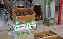 Việt Nam chi hơn 2.300 tỉ đồng mua rau quả từ Thái Lan trong tháng 8