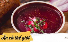 Vòng quanh các nước thưởng thức những bát súp lạnh truyền thống vừa độc vừa lạ