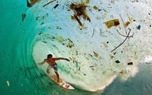 Thảm kịch từ sự tiện dụng: Đã đến lúc nhân loại phải chọn trái đất hay... trái nhựa?