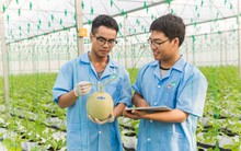 Khi cổ đông ngoại là ‘cầu nối’ đưa doanh nghiệp Việt vươn ra thế giới