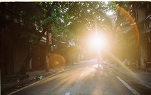 Có một Hà Nội rất khác những ngày này, bình yên và đẹp mơ màng trong nắng mùa thu