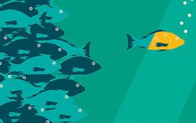 Bí quyết của một nhà lãnh đạo xuất chúng đều gói gọn trong 3 điều đơn giản này, ai có được ắt sẽ thành công