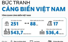 Infographic: Bức tranh cảng biển Việt Nam