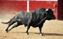 Bao nhiêu tiền sẽ “bơm” vào thị trường chứng khoán Việt Nam sau khi nâng hạng lên Emerging Markets?