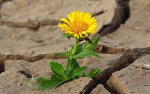 Bài học cuộc sống sâu sắc mẹ muốn con gái hiểu rõ: Cuộc sống càng đơn giản càng hạnh phúc, những thăng trầm sẽ giúp con mạnh mẽ, trưởng thành hơn