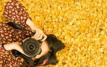 Lý do bạn dễ mắc bệnh vào mùa thu