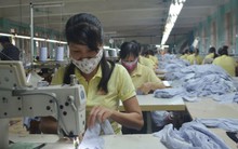 Hàng trăm doanh nghiệp nợ BHXH ở Quảng Ninh: Chuyển cơ quan pháp luật các trường hợp trốn đóng bảo hiểm