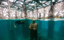 Khám phá phòng trưng bày nghệ thuật thủy triều độc đáo tại Maldives - thiên đường hạ giới ai cũng nên đến một lần trong đời