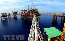 Doanh nghiệp Nga đầu tư gần 1 tỷ USD vào các dự án tại Việt Nam