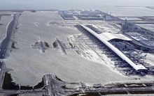 Chưa có người Việt bị ảnh hưởng do bão ở Osaka, Nhật Bản
