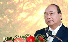 Thủ tướng kỳ vọng sâm Ngọc Linh mang lại giá trị tỷ USD thập niên tới