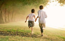 Doanh thu tăng trưởng mạnh nhưng lợi nhuận của 2 đại gia tôn mạ Hoa Sen và Nam Kim đều lao dốc