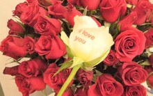 Nông dân khốn khổ bởi giá nông sản tại vườn chỉ bằng 1/4 giá bán lẻ