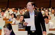 Phê chuẩn hai Phó chủ nhiệm Ủy ban của Quốc hội