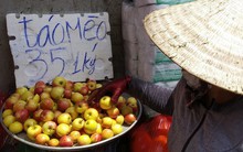 Táo mini Trung Quốc đội lốt “táo mèo” Hà Giang