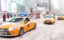 Cả thế giới đang hứng chịu cái lạnh tồi tệ, dự đoán "mùa đông lạnh nhất 100 năm qua" trở thành hiện thực tại nhiều nơi