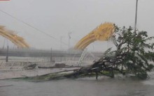 Thông tin cầu Rồng gãy đôi, nhiều người rơi xuống sông là tin đồn nhảm