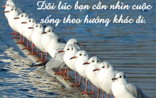 Chuyện cuối tuần: Bạn là người “Đào giếng” hay “Gánh nước”? - Điều quan trọng không phải là vị trí đứng mà là hướng đi