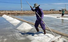 Hạn chế nhập khẩu muối, tạo điều kiện tiêu thụ cho diêm dân