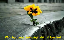 Câu chuyện về 1 ngón tay và 2 bàn chân và bài học "tư duy của con người không phải là bất biến"