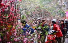 Những ý tưởng kinh doanh cho dân văn phòng "làm giàu" trong dịp Tết này