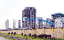 Các dự án thua lỗ ngành hóa chất: Bấp bênh giải cứu