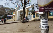 Tín dụng đen vây sinh viên: Không dễ xử lý