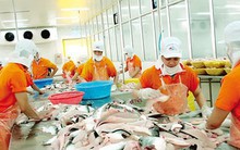 Kim ngạch xuất khẩu chính thức vượt mốc 200 tỷ USD