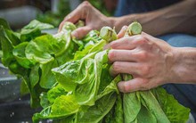 4 kiểu chế biến dễ gây mất chất dinh dưỡng: Nếu bạn mắc sai lầm này thì nên lưu ý sớm!