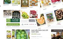 Trái cây Nhật càng đắt càng hút khách