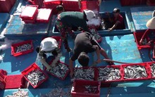 Nỗ lực gỡ "thẻ vàng" cho thủy sản