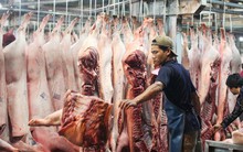Thịt lợn vẫn đang bị “làm giá”