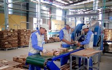 Quy định tạm ngừng kinh doanh tạm nhập, tái xuất gỗ từ Lào, Campuchia