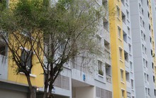 Vụ cháy chung cư Carina: Cựu Tổng giám đốc Công ty Hùng Thanh được tại ngoại