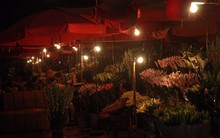 Sếp EVN đề nghị cấm sản xuất, tiêu thụ bóng đèn tròn